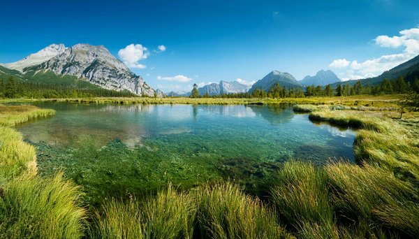 Comment organiser une expédition de trekking dans les montagnes de l'Annapurna, Népal : équipements et conseils pratiques ?